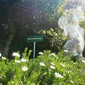 Il Motto Di Tommy , Castelveccana Italië